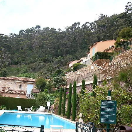 Des Eucalyptus A Theoule-sur-mer * Théoule-sur-Mer