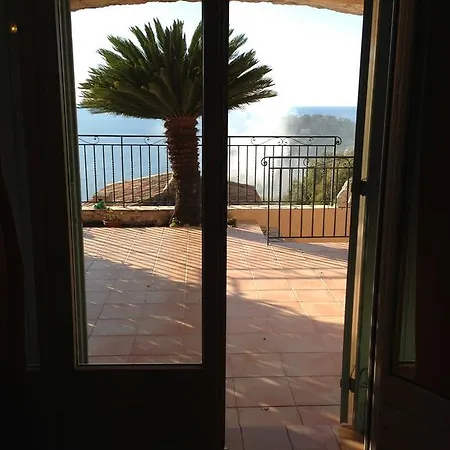 Des Eucalyptus A Theoule-sur-mer *