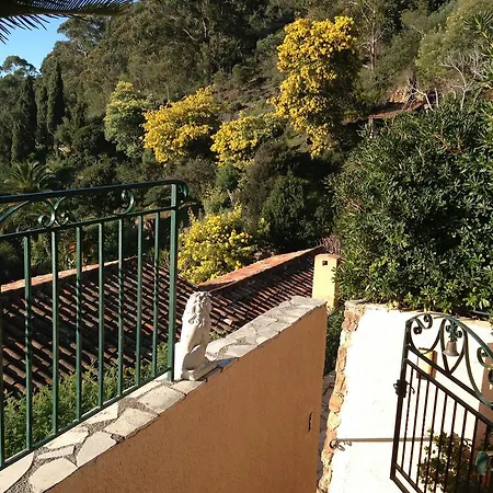 Des Eucalyptus A Theoule-sur-mer Villa Théoule-sur-Mer